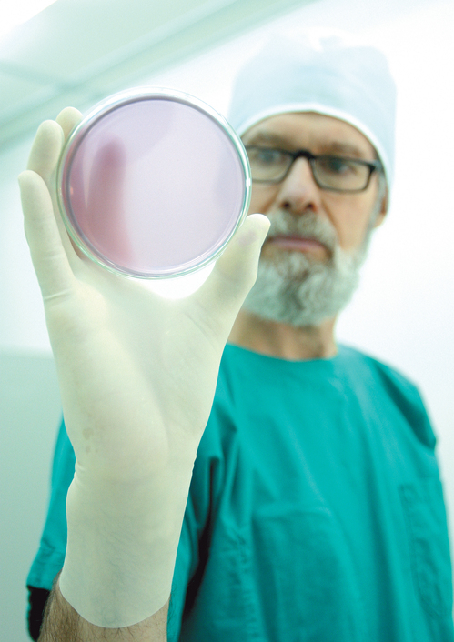 [난임부부 정부지원 tip] 시험관 아기 성공률은?.. 시술 과정, 비용, 부작용까지