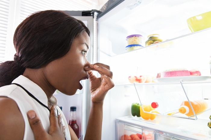 [자취생으로 살아남기] 원룸 냉장고 정리·청소방법부터 냉장고 냄새 제거법·냉장고 적정 온도까지