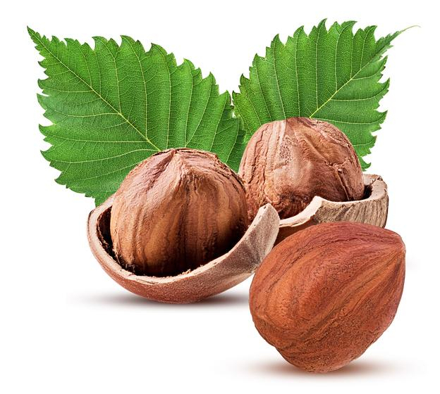 피스타치오·헤이즐넛·마카다미아, 견과류 형제들의 고소한 매력과 차이점