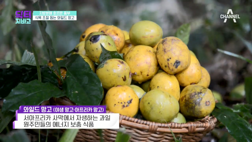 [다이어트식품] 단기간다이어트에 효과적인 '와일드망고' 효능·부작용, 와일드망고젤리 만들기