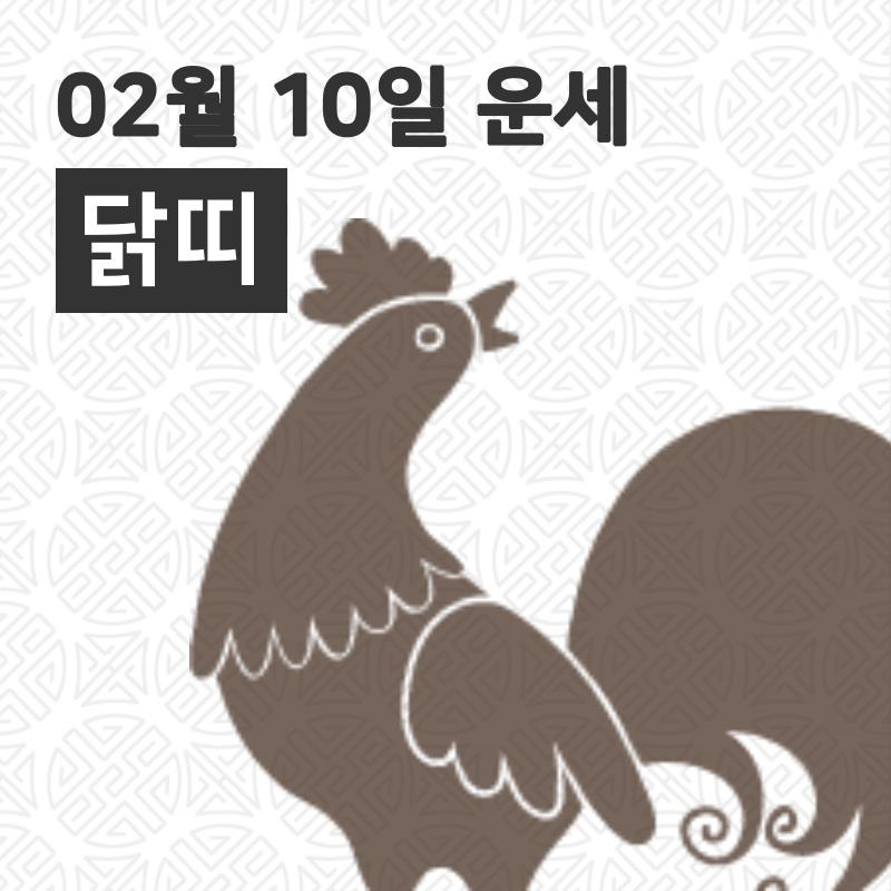 [10일 설날 오늘의운세]닭(酉)띠 오늘의 운세는?