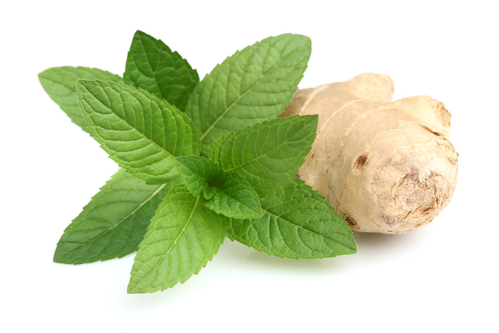 [명태요리] 쫄깃한 식감의 코다리 조림 만드는 법은?