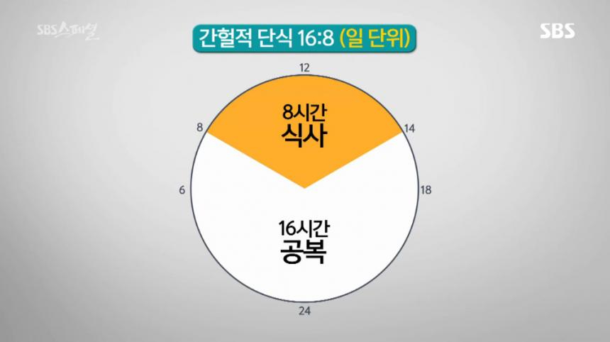 [다이어트 식단] SBS 스페셜 방영된 간헐적 단식 방법(16:8, 5:2법칙, 아침형·저녁형), 부작용없이 시도하려면?
