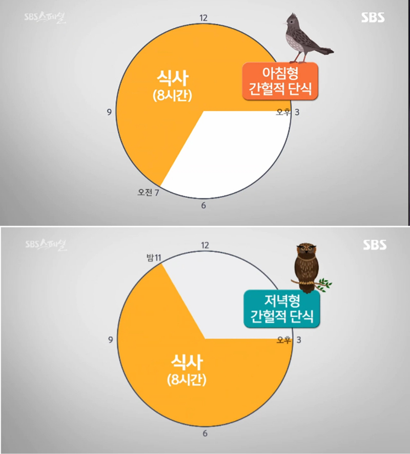 [다이어트 식단] SBS 스페셜 방영된 간헐적 단식 방법(16:8, 5:2법칙, 아침형·저녁형), 부작용없이 시도하려면?