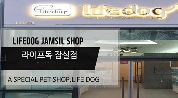 송파ㆍ잠실 지역 애견분양 라이프독 잠실점, 말티즈, 비숑, 포메라니안 등 다양한 견종 보유
