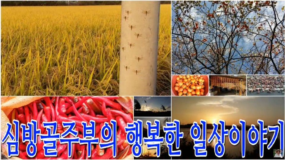 '랜선라이프' 심방골주부, 촌스러운 자막에도 영상 하나가 200만뷰.. 누구길래? 운영자 아들까지 화제