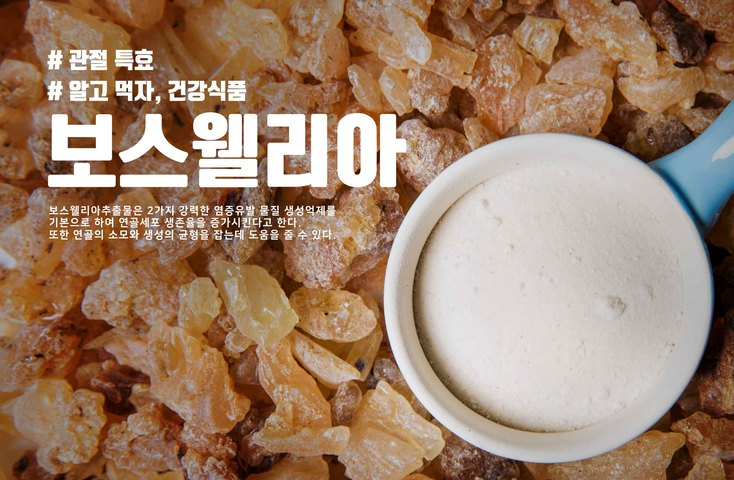 [관절에 좋은 음식] 관절영양제 슈퍼푸드 '보스웰리아(유향)' 효능과 부작용, 복용법은?