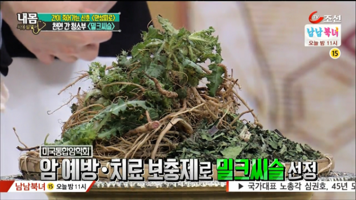 간에 좋은 음식 '밀크씨슬' 효과·먹는 법과 위에 좋은 음식 '연자육' 먹는 법·부작용 총정리
