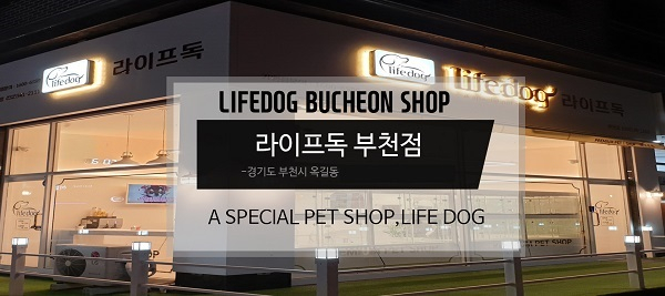 라이프독 부천점, 부천애견고객과 자견 위해 세심한 자견돌봄캠페인 진행해 믿고 분양받을 수 있어