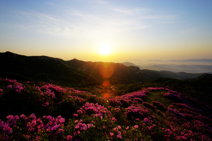우리나라의 역사를 머금은 해인사가 자리잡은 경남 합천가볼만한곳
