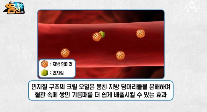 [코스트코 2월 추천상품] '커클랜드 크릴오일' 추천, 오메가3 끝판왕 '크릴오일' 효능과 부작용은?