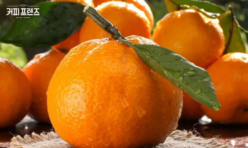 [커피프렌즈 레시피] 집에서 쉽게 귤카야잼·우유에빠진귤·새우감바스 만들기