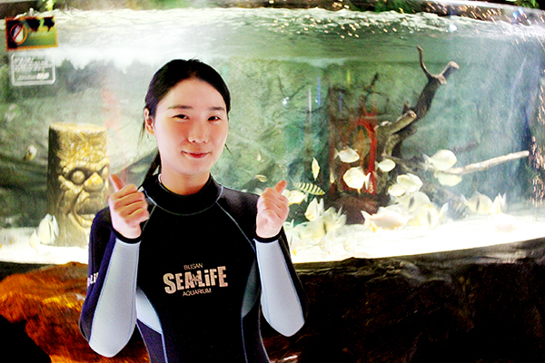 SEA LIFE 부산아쿠아리움 아쿠아리스트 되는법