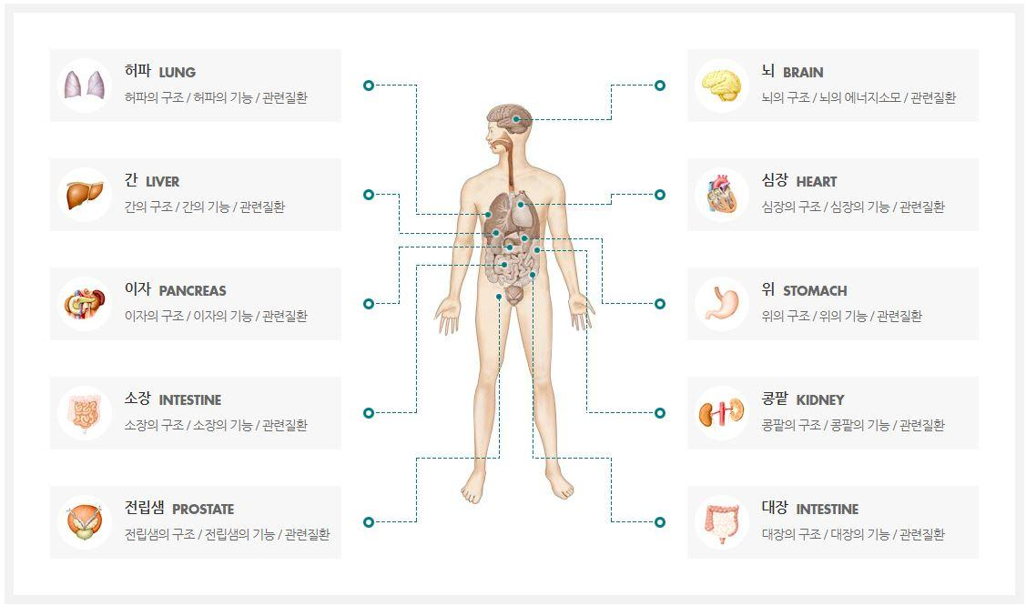 [2019 건강검진] 올해부터 달라졌다? 7월부터 '폐암' 추가 도입…건강검진 비용 및 신청방법은?