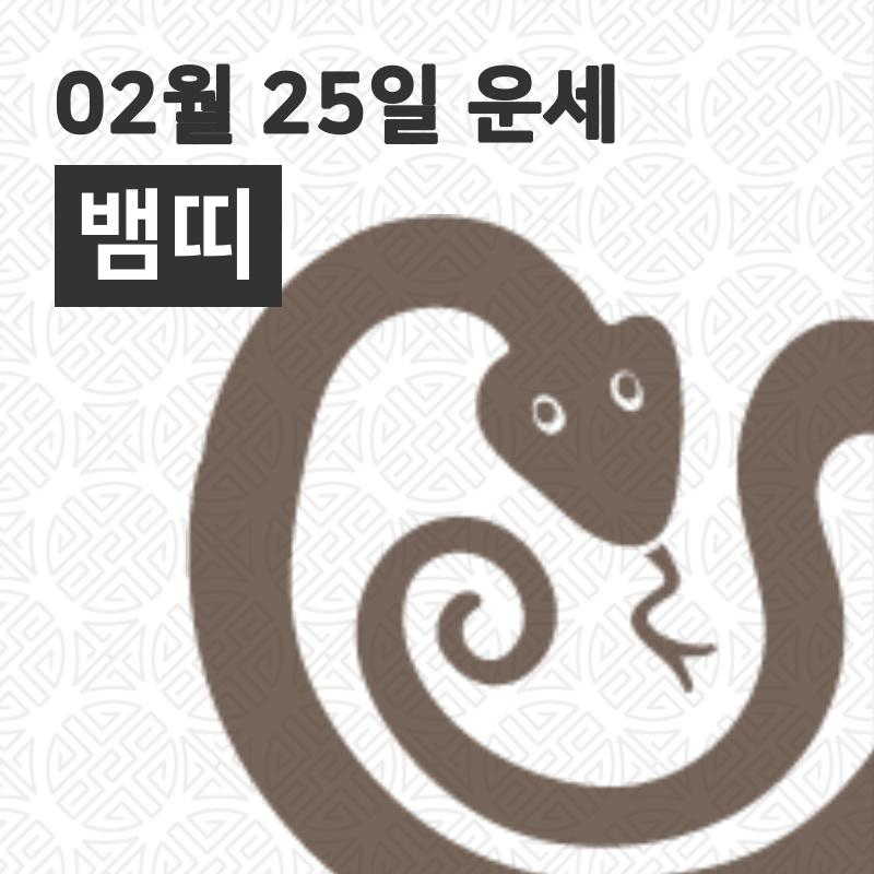 [25일 오늘의운세]뱀(巳)띠 운명과 일일운수