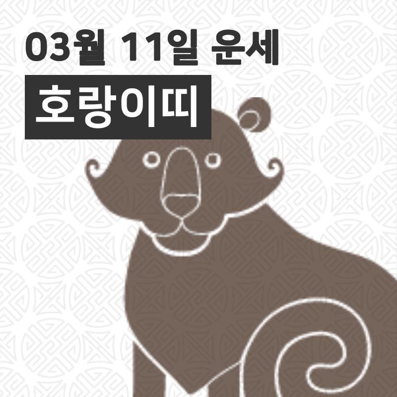 [11일 명절 오늘의운세]호랑이(寅)띠 운명과 일일운수