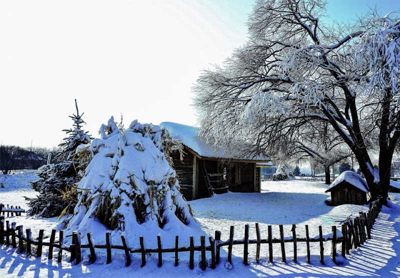 추운 환경에 개구리 피부 박테리아가 더욱 기승을 부린다?