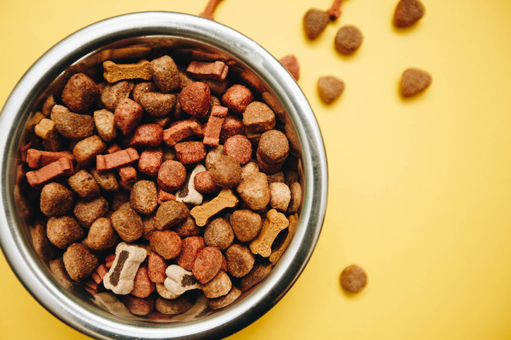 [강아지 사료 선택 Tip] 강아지 사료, 등급이 있다?… 우리집 강아지에게 맞는 사료를 찾으려면?