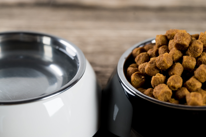 [강아지 사료 선택 Tip] 강아지 사료, 등급이 있다?… 우리집 강아지에게 맞는 사료를 찾으려면?