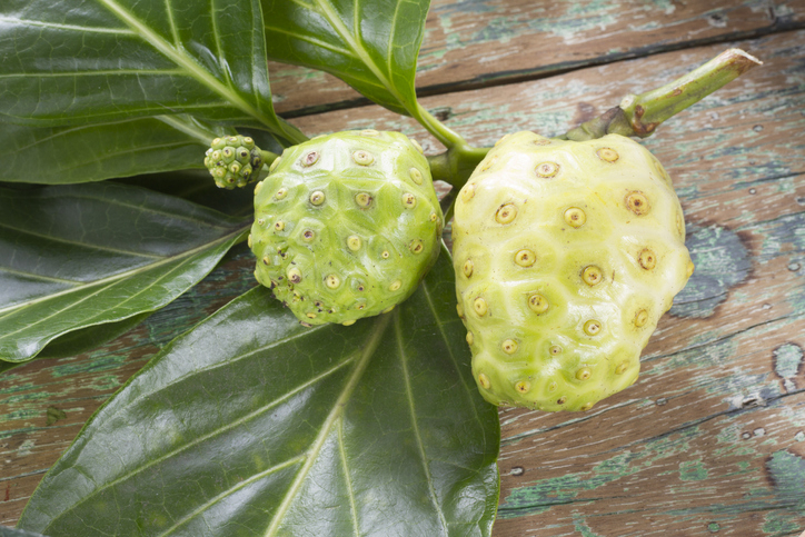 노니 효능 정말 있을까?…좋은 노니발효액·노니원액 고르는 법을 알아보자