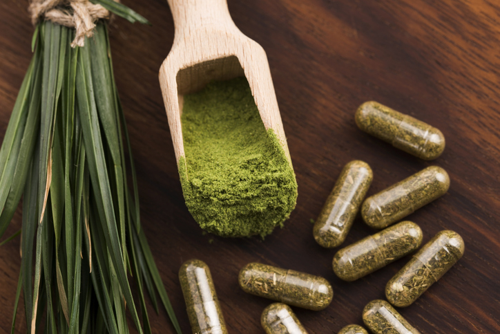 새싹보리분말, 폴리코사놀 효능 알아보니… 집에서 새싹보리분말 키우기·새싹보리분말 요리법은?