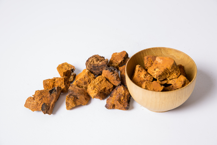 '상황버섯·영지버섯·차가버섯', 효능과 부작용·먹는 방법까지… '불로초' 버섯 3대장의 모든 것