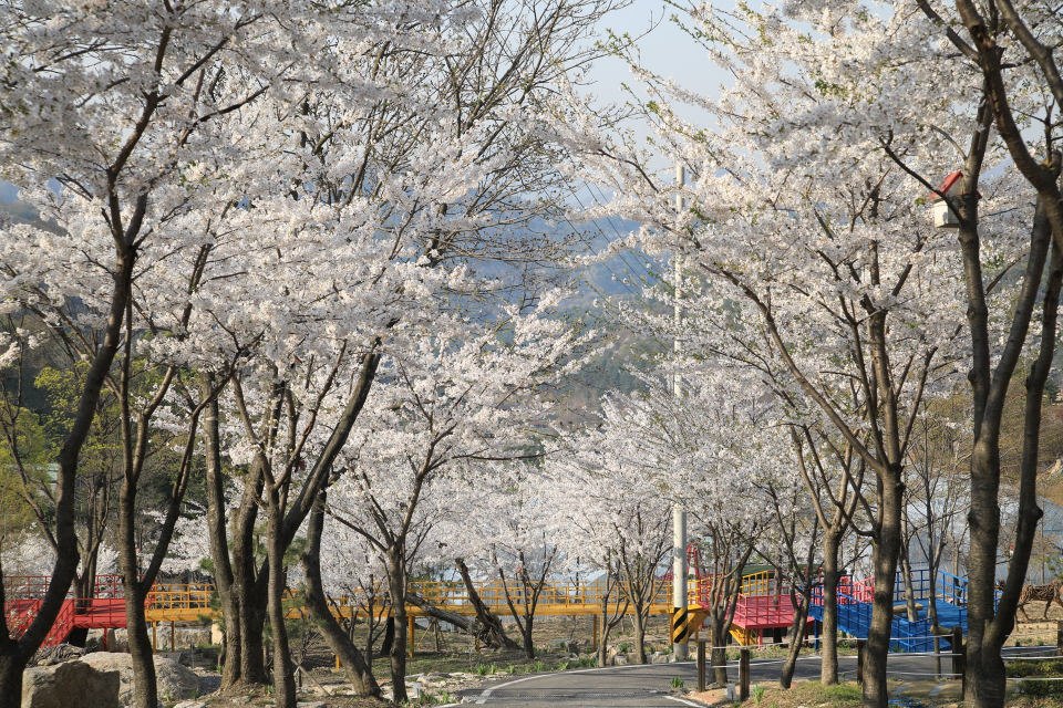 양평 가볼만한 곳 추천 여행지, 복합문화공간 오르다온 'Hello, Spring 봄이 왔어요' 이벤트 진행 중