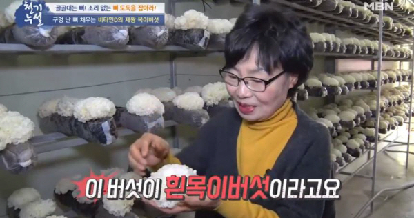 [골다공증 음식] 흰목이버섯 효능, 비타민D 풍부…'골다공증에 좋은 버섯'