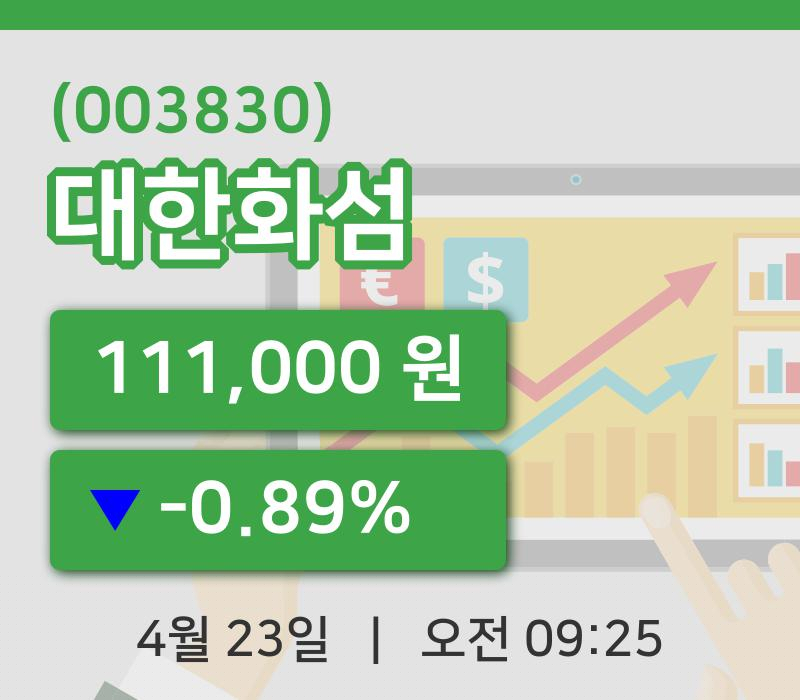 [대한화섬주가] 23일 9시 25분 현재 111,000원