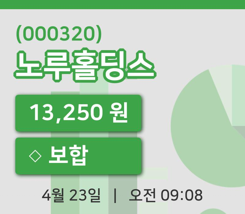 [노루홀딩스주가] 23일 이시각 현재  13,250원