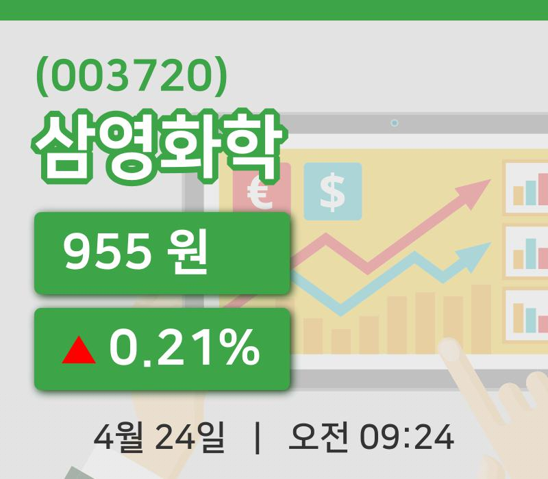 [삼영화학주가] 24일 이시각 현재  955원