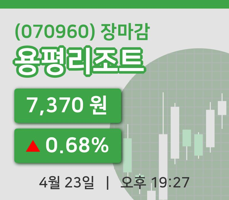 마감증시보고용평리조트 23일 7,370원 장마감...