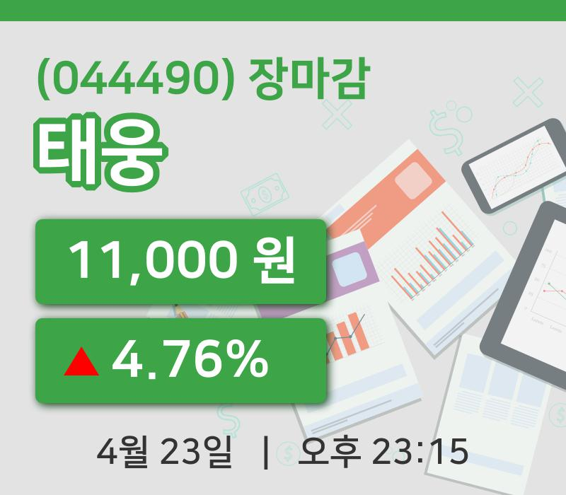 마감증시보고태웅 23일 11,000원 장마감그래프통계 및 분석