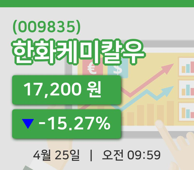 [한화케미칼우주가] 25일 이시각 현재  17,200원