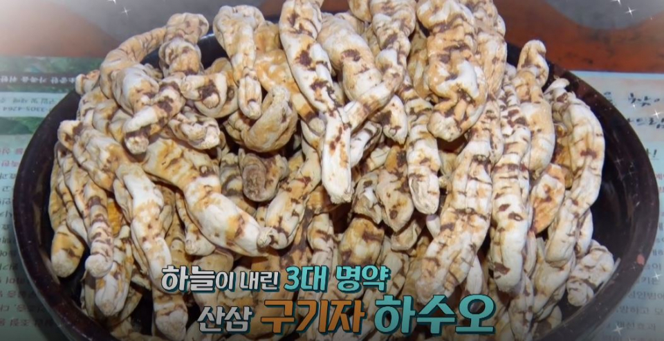 머리가 검해지는 '하수오', 효능보면 깜짝놀라?…섭취 시 열 많은 체질은 주의해야