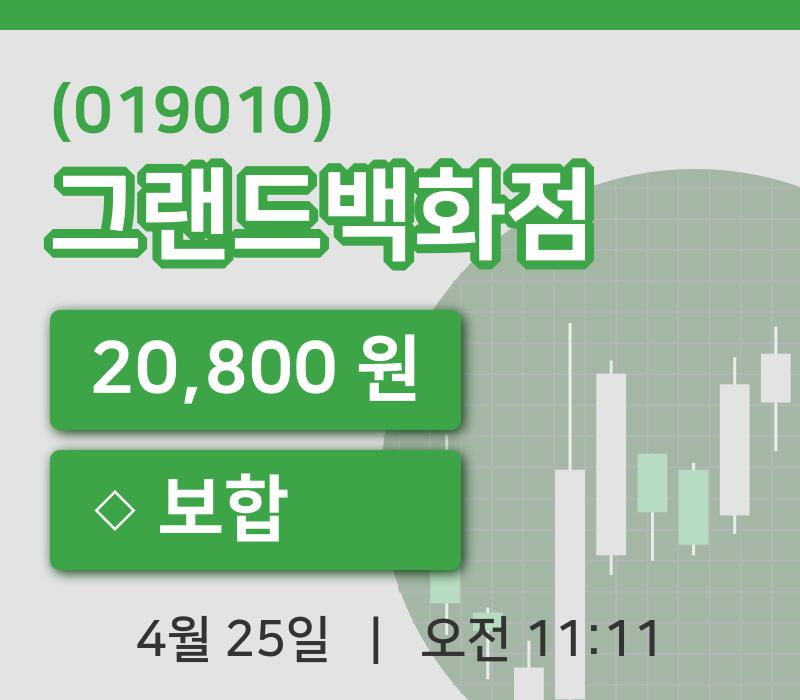 [그랜드백화점주가] 11시 11분 현재 20,800원