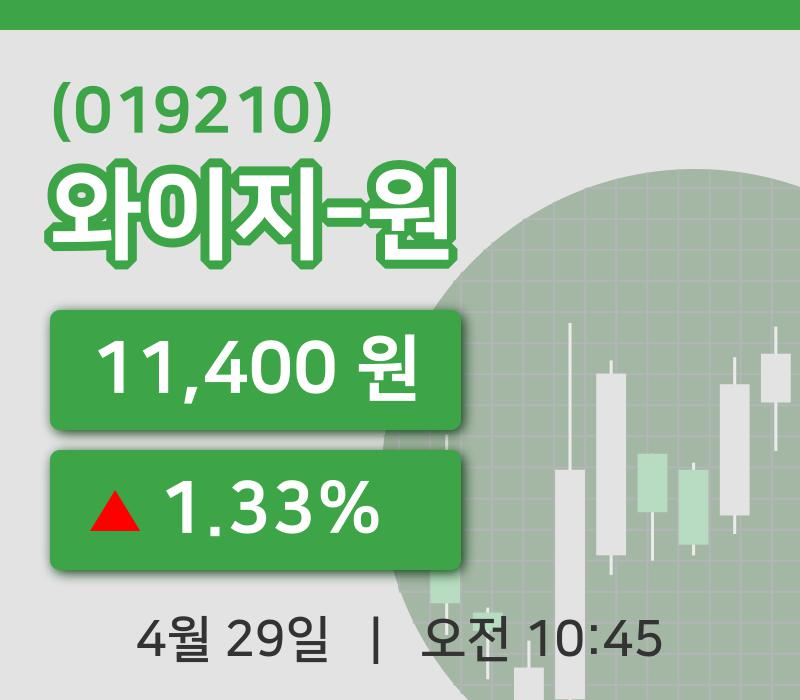[와이지-원주가] 10시 45분 현재 11,400원