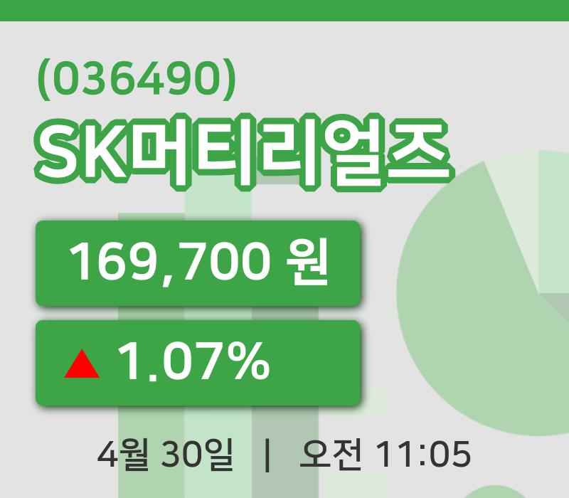 [SK머티리얼즈주가] 11시 05분 현재 169,700원