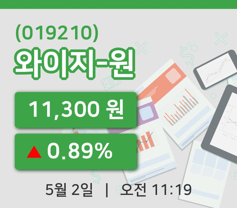 [와이지-원주가] 2일 11시 19분 현재 11,300원
