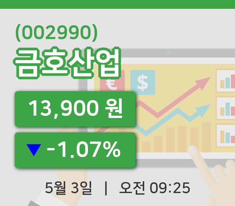 [금호산업주가] 3일 이시각 현재  13,900원