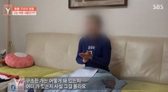 동물구조영웅 안씨, 이상한 소문? 제보자 ""개들을 야산에 풀어놓고 방치된 상태"