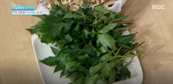 간 세포 재생과 생리통 완화 돕는 당귀의 효능…하지만 주의해야 할 체질있어