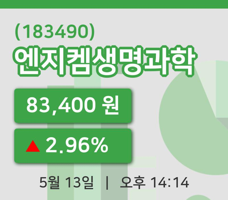 [엔지켐생명과학주가] 13일 14시 14분 현재 83,400원
