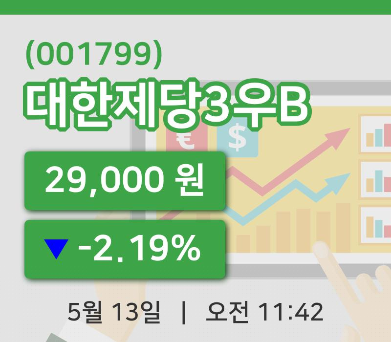 [대한제당3우B주가] 13일 이시각 현재  29,000원