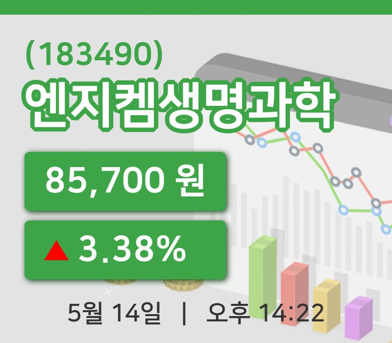 [엔지켐생명과학주가] 14일 이시각 현재  85,700원