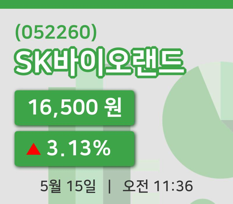 [SK바이오랜드주가] 15일 이시각 현재  16,500원