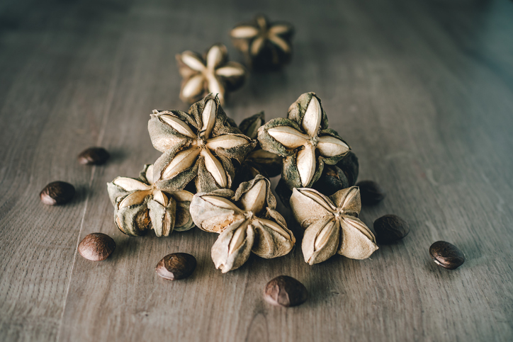 브라질너트 효능·부작용 vs 사차인치 효능·부작용! 브라질너트·사차인치 칼로리와 먹는 법까지