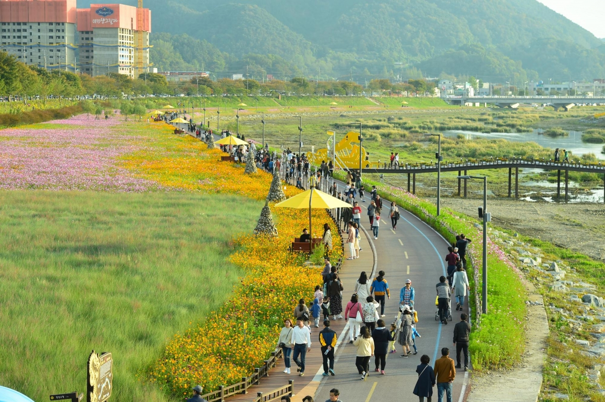 '2019 장성 황룡강 홍길동무 꽃길축제' 개막 D-2