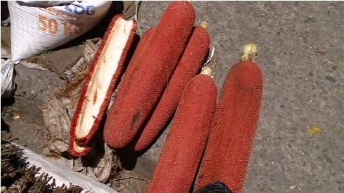 '자연의 선물' 부아메라 효능과 부작용은? 붉은 열매의 왕, 염증·미세먼지에 좋은 음식으로 손꼽혀