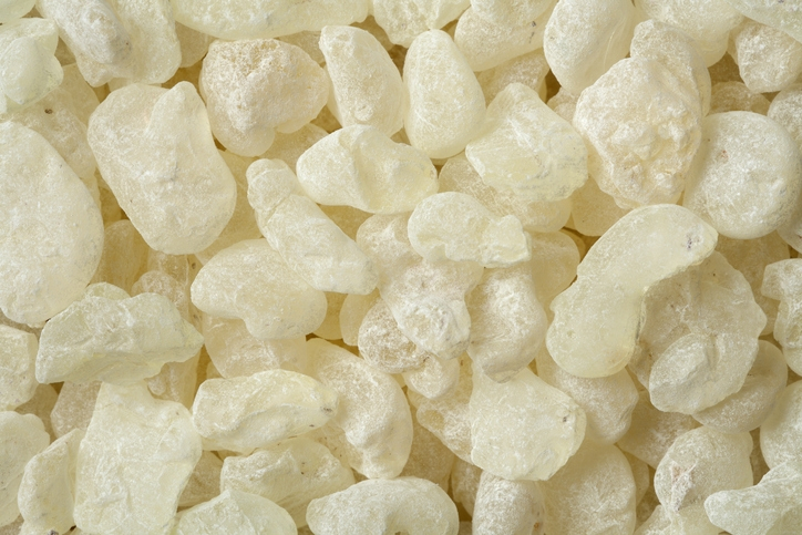 [위에 좋은 음식] 매스틱 효능, 세계 3대 항생물질로 꼽히는 이유를 살펴보니…매스틱 먹는 법은?